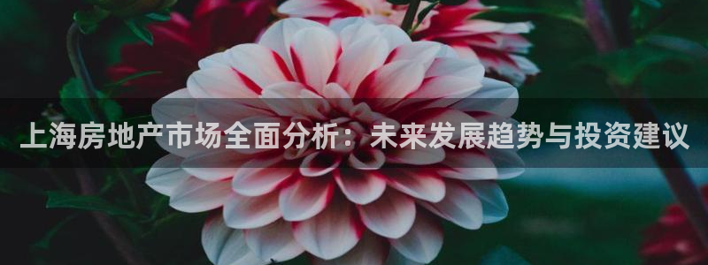 摩登7登录地址：上海房地产市场全面分析：未来发展趋势与投资建