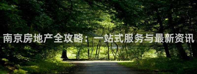 摩登7会员登录入口：南京房地产全攻略：一站式服务与最新资讯
