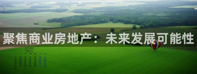 华彩7级摩登：聚焦商业房地产：未来发展可能性