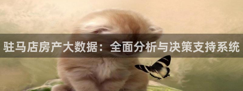 摩登7楼：驻马店房产大数据：全面分析与决策支持系统