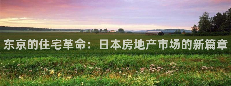 摩登7代理382223：东京的住宅革命：日本房地产市场的新篇