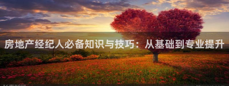 摩登7地7O667：房地产经纪人必备知识与技巧：从基础到专业