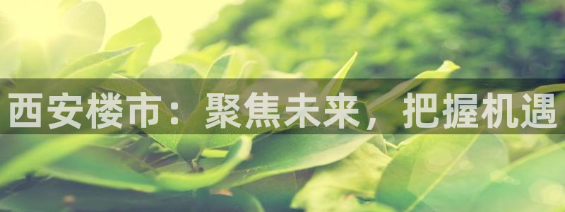 摩登7 1：西安楼市：聚焦未来，把握机遇