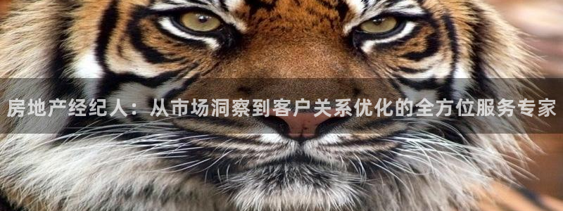 摩登7 lite：房地产经纪人：从市场洞察到客户关系优化的全