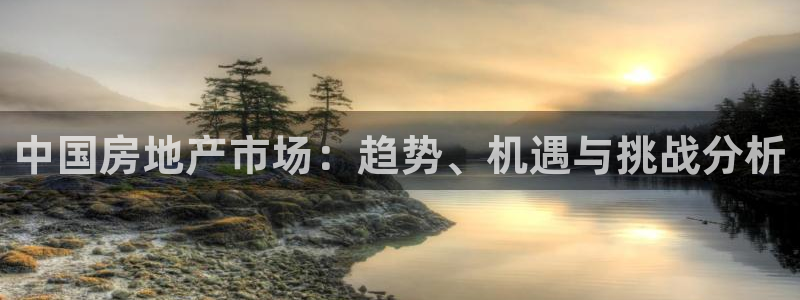 摩登7 平台：中国房地产市场：趋势、机遇与挑战分析