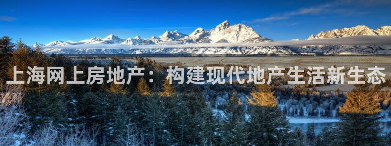 摩登招商7佳22650：上海网上房地产：构建现代地产生活新生