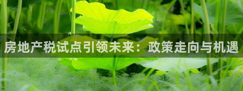 摩登5冯7O667：房地产税试点引领未来：政策走向与机遇