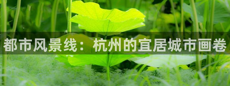 摩登7平台网址：都市风景线：杭州的宜居城市画卷