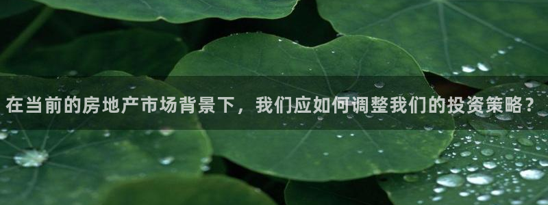 摩登6地7O667：在当前的房地产市场背景下，我们应如何调整