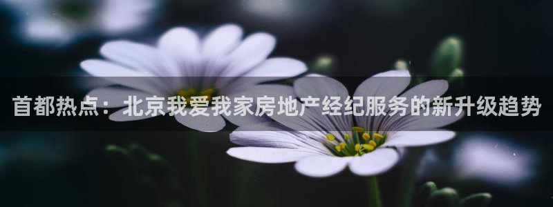 lgg7摩登：首都热点：北京我爱我家房地产经纪服务的新升级趋
