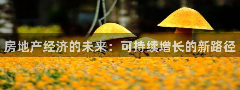 摩登7怎么联系客服：房地产经济的未来：可持续增长的新路径