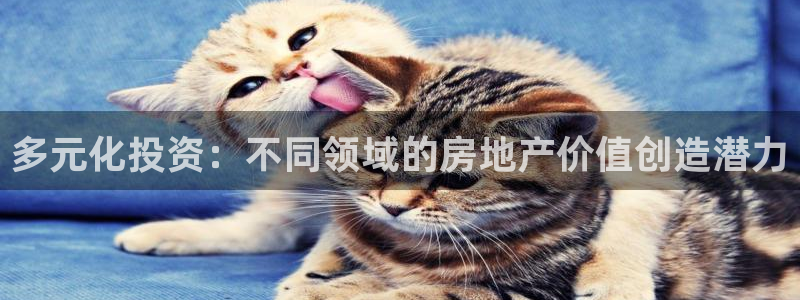 摩登7日：多元化投资：不同领域的房地产价值创造潜力
