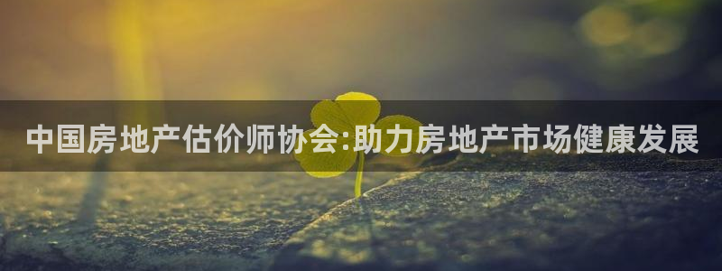 摩登5月7O667：中国房地产估价师协会:助力房地产市场健康