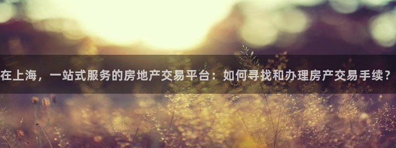 摩登7官网的详细介绍：在上海，一站式服务的房地产交易平台：如