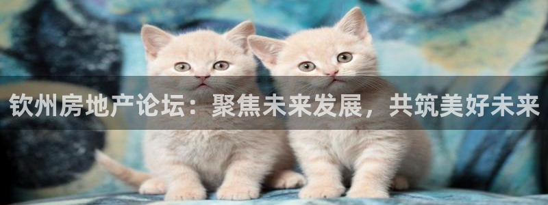 摩登7去3299O7：钦州房地产论坛：聚焦未来发展，共筑美好