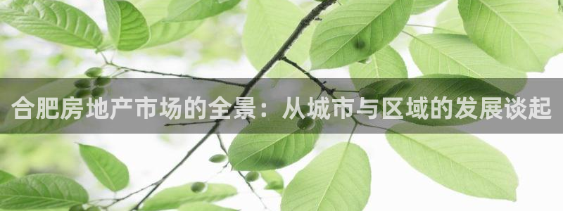 摩登世界7：合肥房地产市场的全景：从城市与区域的发展谈起