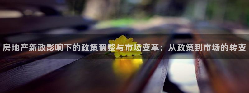 摩登7招商382223：房地产新政影响下的政策调整与市场变革