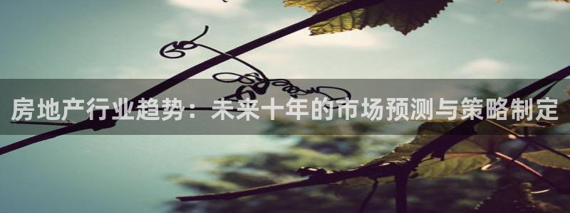 摩登招商臼金手指专业7：房地产行业趋势：未来十年的市场预测与