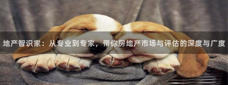 摩登6上7O667：地产智识家：从专业到专家，带你房地产市场