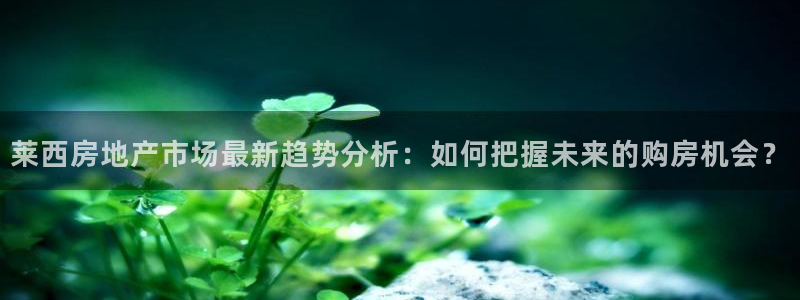 摩登6褚7O667：莱西房地产市场最新趋势分析：如何把握未来