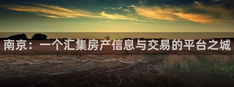 摩登4地7O667：南京：一个汇集房产信息与交易的平台之城