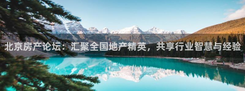 摩登3后7O667：北京房产论坛：汇聚全国地产精英，共享行业