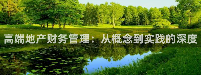 摩登7娱乐找qv382223：高端地产财务管理：从概念到实践