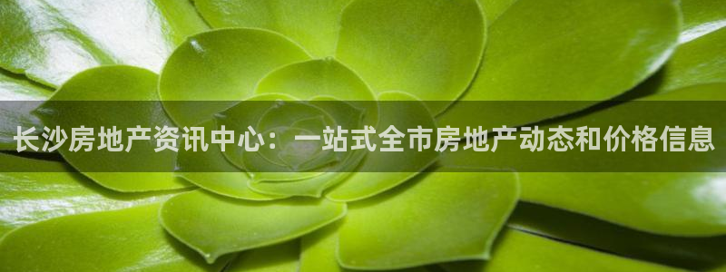 摩登招商7约22650：长沙房地产资讯中心：一站式全市房地产