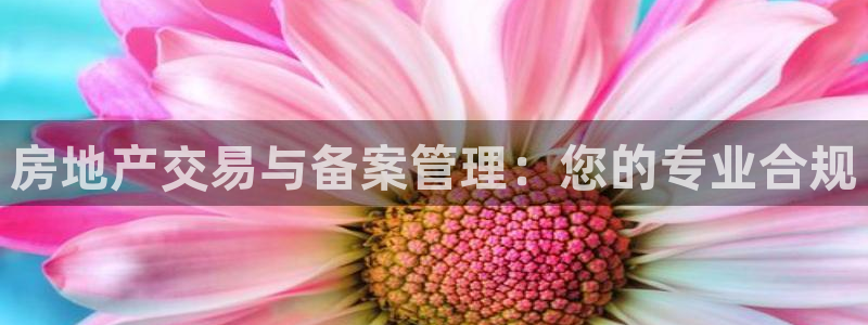 摩登7平台382223：房地产交易与备案管理：您的专业合规