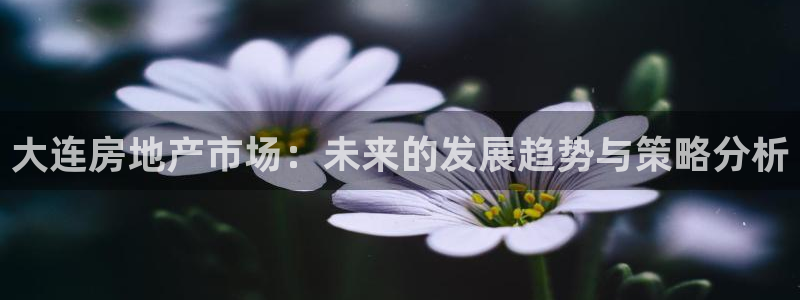 摩登7左3299O7：大连房地产市场：未来的发展趋势与策略分