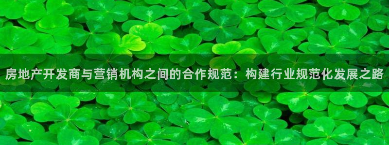 摩登7：房地产开发商与营销机构之间的合作规范：构建行业规范化