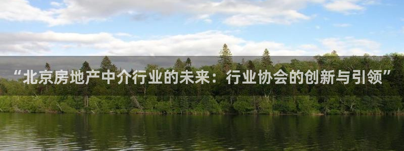 摩登5左7O667：“北京房地产中介行业的未来：行业协会的创