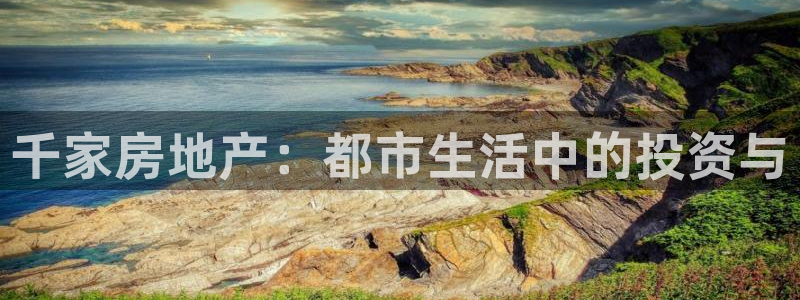 摩登7平台登录下载：千家房地产：都市生活中的投资与