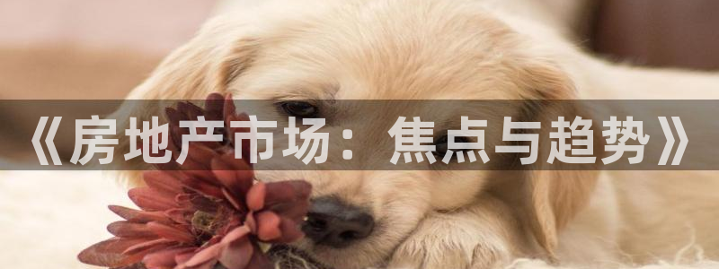 摩登6后7O667：《房地产市场：焦点与趋势》
