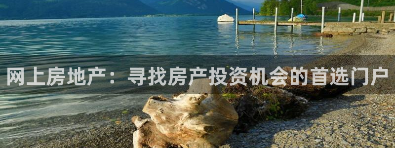 摩登7怎么联系客服：网上房地产：寻找房产投资机会的首选门户