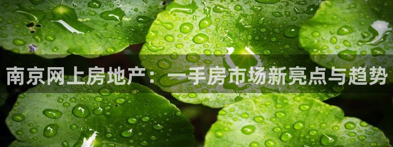 摩登5许7O667：南京网上房地产：一手房市场新亮点与趋势