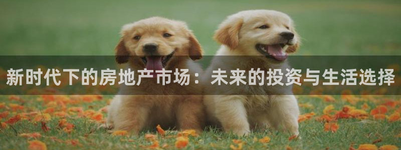 摩登5左7O667：新时代下的房地产市场：未来的投资与生活选