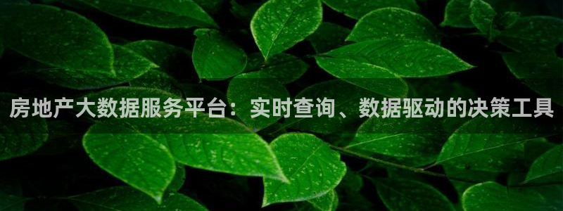 摩登6张7O667：房地产大数据服务平台：实时查询、数据驱动