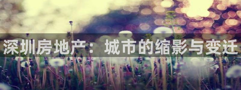 摩登7怎么联系客服：深圳房地产：城市的缩影与变迁