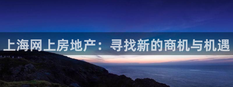 摩登5左7O667：上海网上房地产：寻找新的商机与机遇