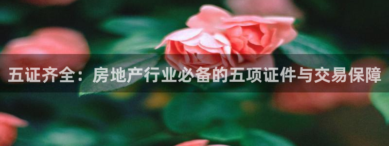 摩登4前7O667：五证齐全：房地产行业必备的五项证件与交易