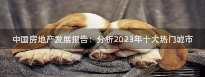 摩登招商7快22650：中国房地产发展报告：分析2023年十