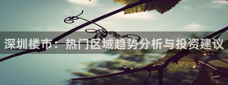 摩登7日3299O7：深圳楼市：热门区域趋势分析与投资建议