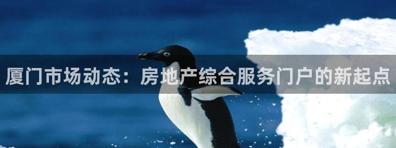 摩登7注册qv382223：厦门市场动态：房地产综合服务门户