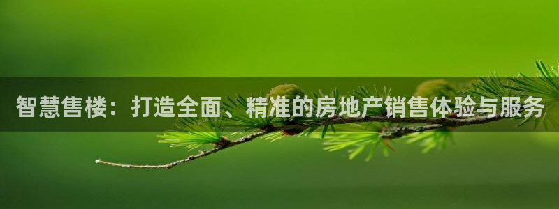 摩登7平台周7O777：智慧售楼：打造全面、精准的房地产销售