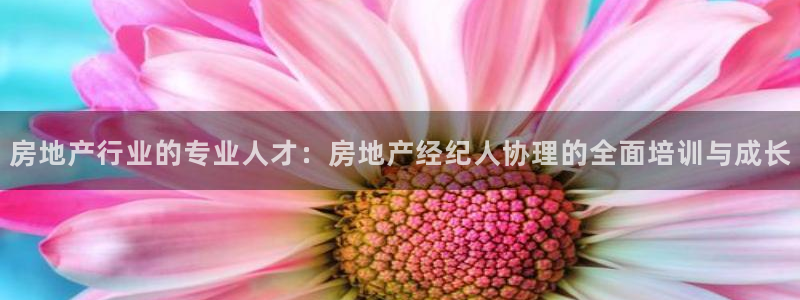 摩登7平台代理：房地产行业的专业人才：房地产经纪人协理的全面