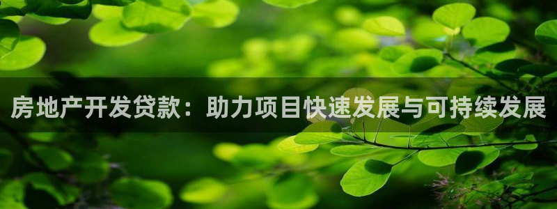 摩登7平台主管：房地产开发贷款：助力项目快速发展与可持续发展