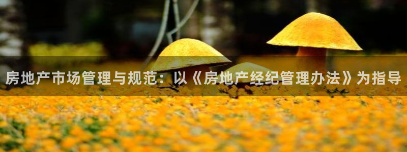 摩登7招商讨333OO：房地产市场管理与规范：以《房地产经纪