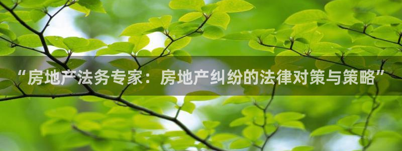 摩登7招商议333OO：“房地产法务专家：房地产纠纷的法律对