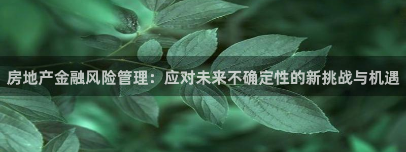 摩登7登录地址：房地产金融风险管理：应对未来不确定性的新挑战